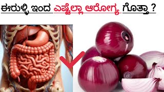 ಈರುಳ್ಳಿ ಇಂದ ಎಷ್ಟೆಲ್ಲಾ ಆರೋಗ್ಯ ಗೊತ್ತಾ? onion uses in kannada