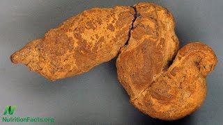 Paleopoo: What We Can Learn from Fossilized Feces