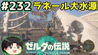 【実況】天空の城ハイラル！ゼルダの伝説TotKをツッコミ実況Part232