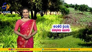 అన్నదాత | 27th  September 2023 | Annadata | Full Bulletin | ETV Andhra Pradesh