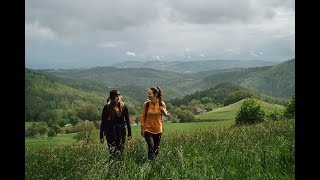 Eine Wanderung zu sich Selbst - im wunderschönen Waldviertel auf dem Lebensweg