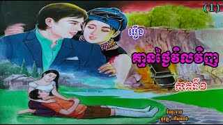 រឿងគ្មានថ្ងៃវិលវិញ ភាគទី១ | Can't return (Part1) | ប្រលោមលោកខ្មែរ