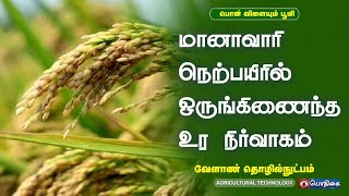 மானாவாரி நெற்பயிரில் ஒருங்கிணைந்த உர நிர்வாகம் | Agricultural Technology