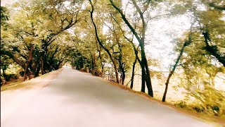 My First Road Trip From Williamnagar to Garobadha Borkona ||❤@East to West Road Vlog on YouTube# ||