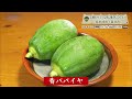 【静岡グルメ】まったり癒されたいときにオススメ！あっさり系料理【とびっきり食堂】