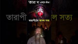 তারাপীঠের আসল সত্য 😳 | বশিকরণ সত্যিই কি সম্ভব ? | তারাপীঠ মহাশ্মশান | #shorts #viral #tarapith