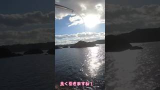 沖磯フカセで竿がぶち曲がり！？ #釣り #fishing #魚 #海釣り #魚釣り #海