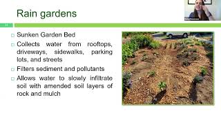 Rain Gardens And Bioswales: From Basics to Installation: K. Mousseaux