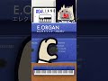 dr.korgの1分でわかるコルグ。4回目はliano音色紹介編。 shorts piano dtm demo digitalpiano dtm instruments korg