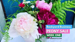 Peony Sale: My Backyard Cut Flower Business