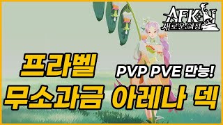 #40【AFK: 새로운 여정】저렴한데 강한 아레나 덱추천🥇프라벨 카이 토란 메이 다미안💰프라벨 출산드라 덱🎄