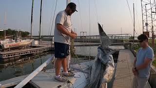 J24 Rigging Basics - Rigging the genoa