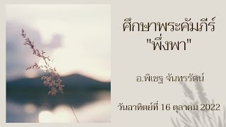 การศึกษาพระคัมภีร์ช่วงเช้า \