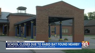 School Closes Due To Rabid Bat Found Nearby