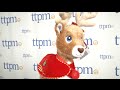 Build-A-Bear Team Santa Reindeer Plush Doll Review