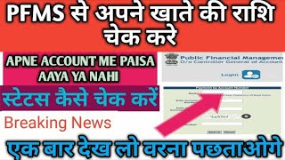 Pfms से बैंक बैलेंस कैसे चेक करें-2021|Know Your Payments by Pfms -2021