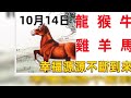 10月14日十二生肖【每日老黃曆】 星座生肖