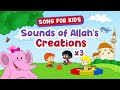 Sounds of Allah's Creation - Kids Song