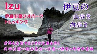 【伊豆の山歩き海歩き】伊豆ジオパークの旅＿その２