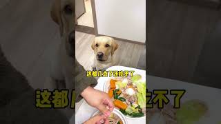 這狗子急的都快說人話了