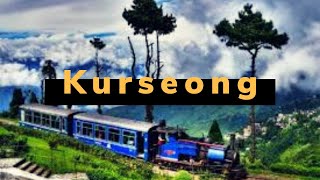 A Drive Through Kurseong | Darjeeling, West Bengal | Travel And Tourism