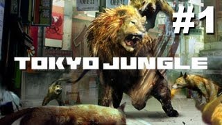 Tokyo Jungle Walkthrough - Part 1 - Welcome to the Jungle (Gameplay/Commentary PS3