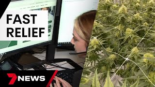 New medicinal cannabis clinics provide instant relief to suffering Australians | 7 News Australia