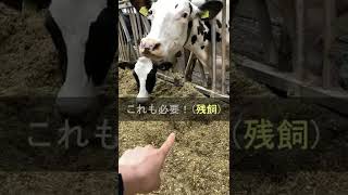 指差し確認で【循環型酪農】を伝える動画　#short