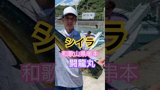 和歌山県串本の闘龍丸さんにてキハダマグロ狙い！のはずが😅