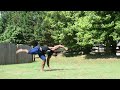 learn how to aerial a twist in 1 minute