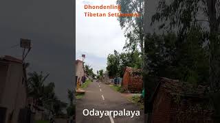 Dhondenling Tibetan Settlement, Odayarapalaya | a home in the limbo!