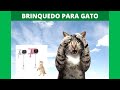 Brinquedo Para Gato Brincar Sozinho   SAIBA MAIS