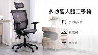 LOGIS 人體工學全網椅 D9RS 介紹