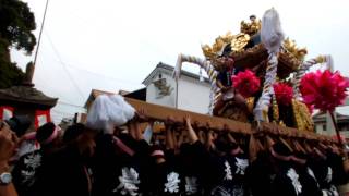 ☆１１高砂神社の秋祭り１１日、農人町宮入☆