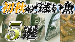 9月 はこの 魚 を買え！【 せり人ムタロー・魚市場 目利き 】