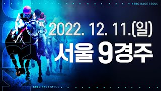 (서울) 22.12.11 9R 2세마 큐피드워리어! 직전 선행 못 간 아쉬움 털며 이번엔 선행이 답!