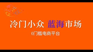 冷门小众的蓝海跨境电商市场，一个人就能开始，同行少，可无货源