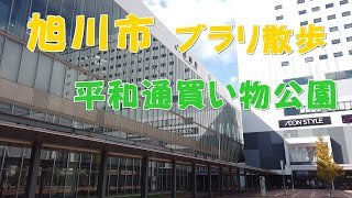 【登録者200人】 旭川駅前商店街をぶらぶらしてた　登録者２００人達成御礼