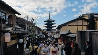 4K] March 13, 2023 (Monday) Crowd situation in Kyoto sightseeing spots. Sightseeing in Kyoto