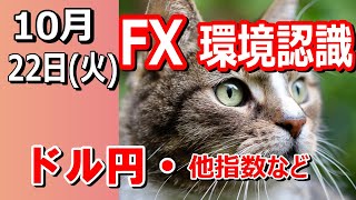 【TAKA FX】ドル円他各通貨の環境認識解説。各種指数、GOLDなど　10月22日(火)