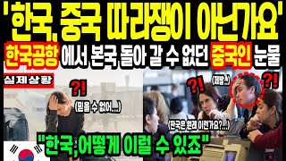 [해외감동사연] 한국, 중국 따라쟁이 아닌가요?한국공항에서 본국으로 돌아 갈수 없던 중국인의 눈물