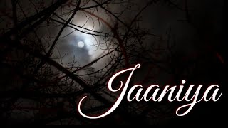 Jaaniya (Haunted 3D) - Cover | Cover Song by David'N'Ron