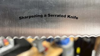Sharpening a Serrated Knife on Your 1x30 or Work Sharp Ken Onion Elite