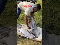 easy fishing big Catch