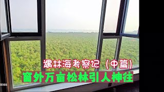 乳山银滩业主威海南海新区遇林海小区考察记，万亩松林令人羡慕