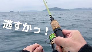 初心者の海ボート釣り！鱒レンジャーでダイソージグを使ったらいきなり喰らいついてきた！！