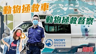 【馬路特派員】動物拯救督察 | 動物拯救車