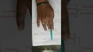 Predictive Coding2