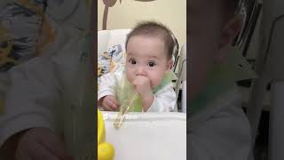 爸爸精致喂养六月龄宝宝的一天#爸爸带娃#萌娃日常  #baby #萌娃 #cute