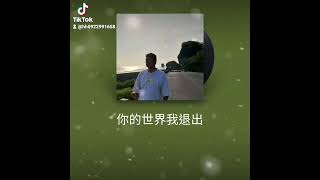 💖妳的世界我退出……演唱者：平凡大叔 李偉🙏敬請：youtube／抖音訂閱按讚分享我頻道 即時上傳我獻唱完整歌曲自拍MV影片。呈現不同深情感動